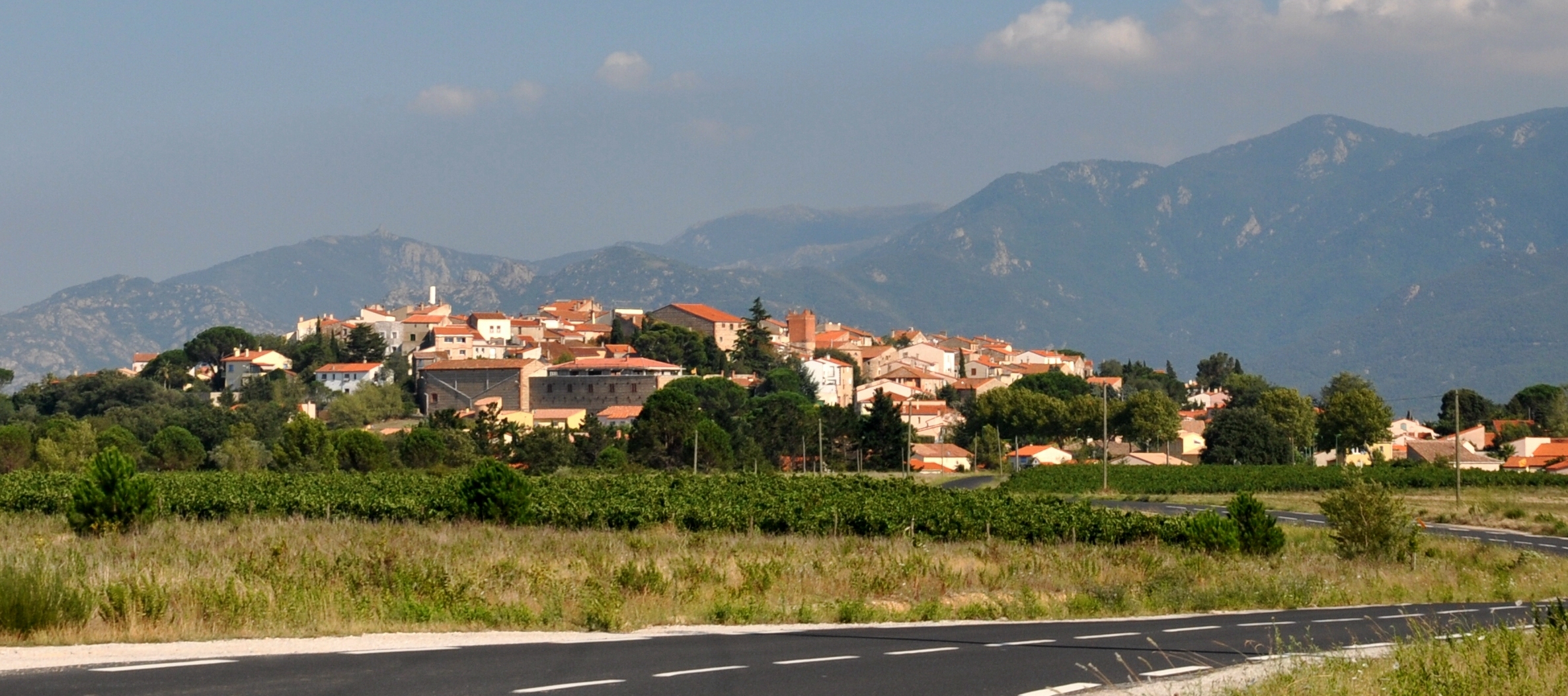 Banyuls-dels-Aspres — illustration
