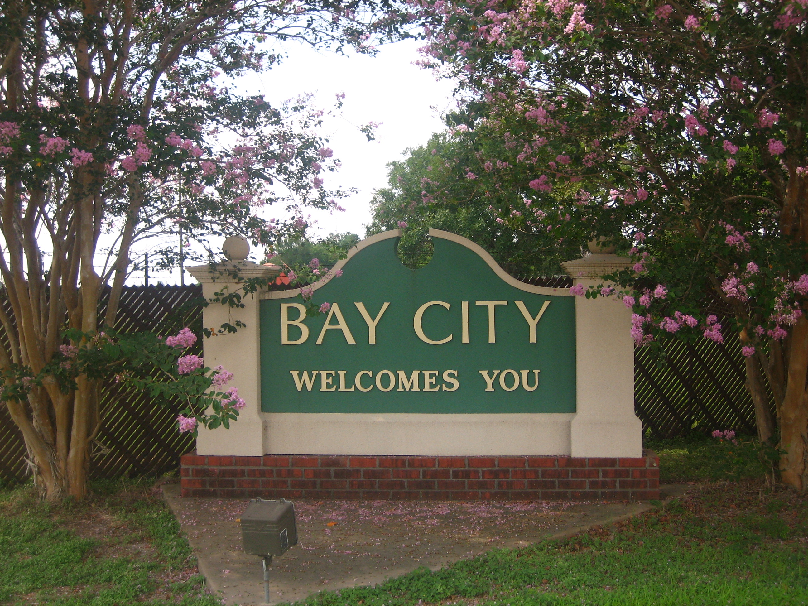 Bay City — illustration