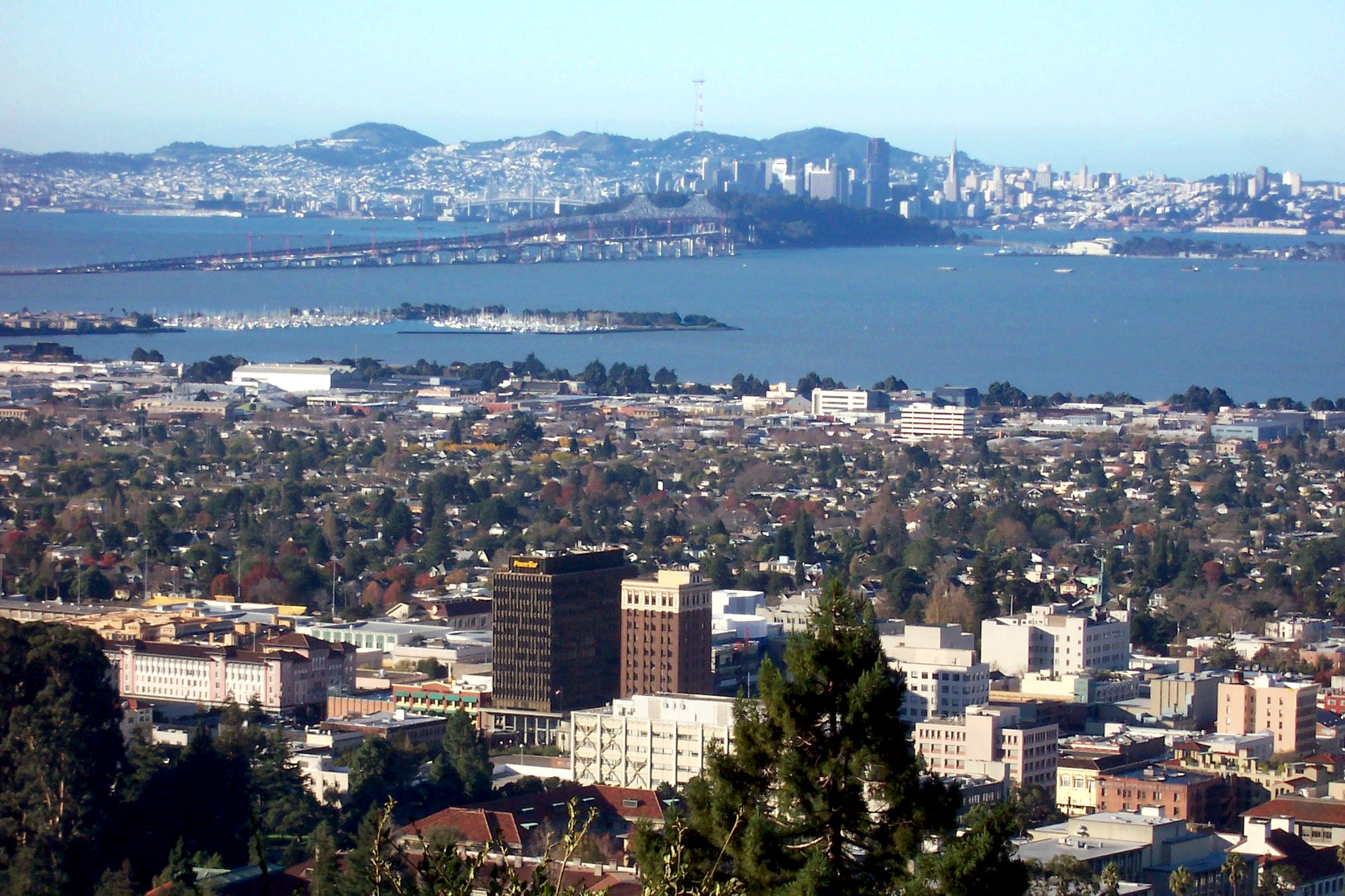 Berkeley — illustration