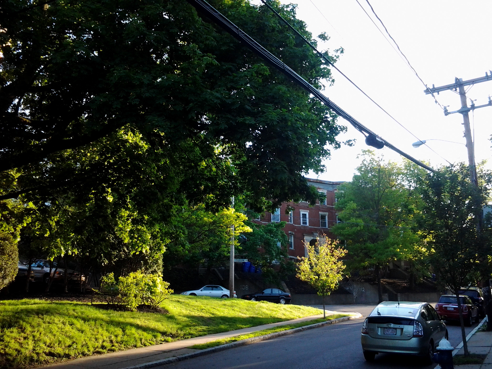 Brookline — illustration