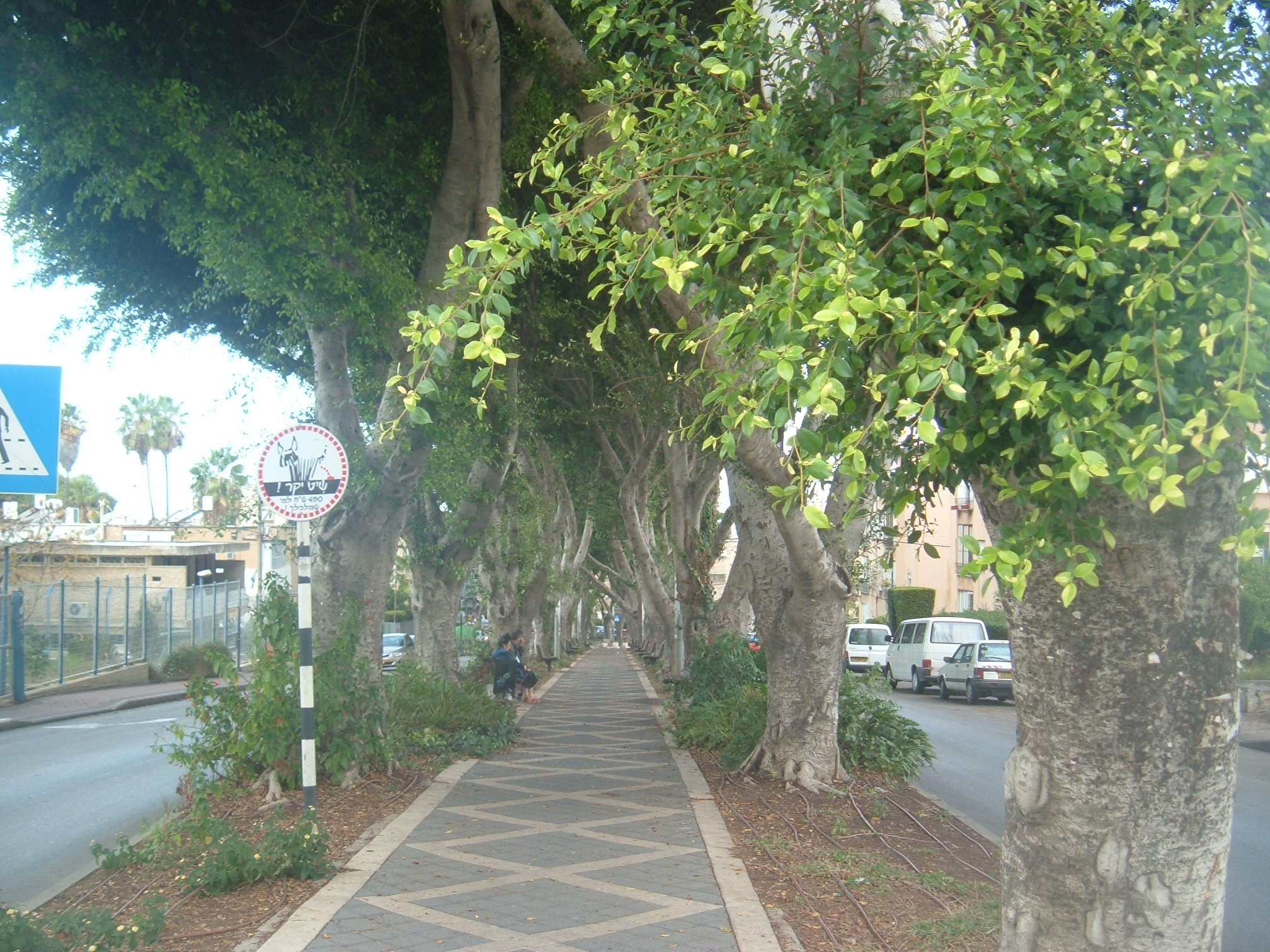 Kiryat-Ata — illustration