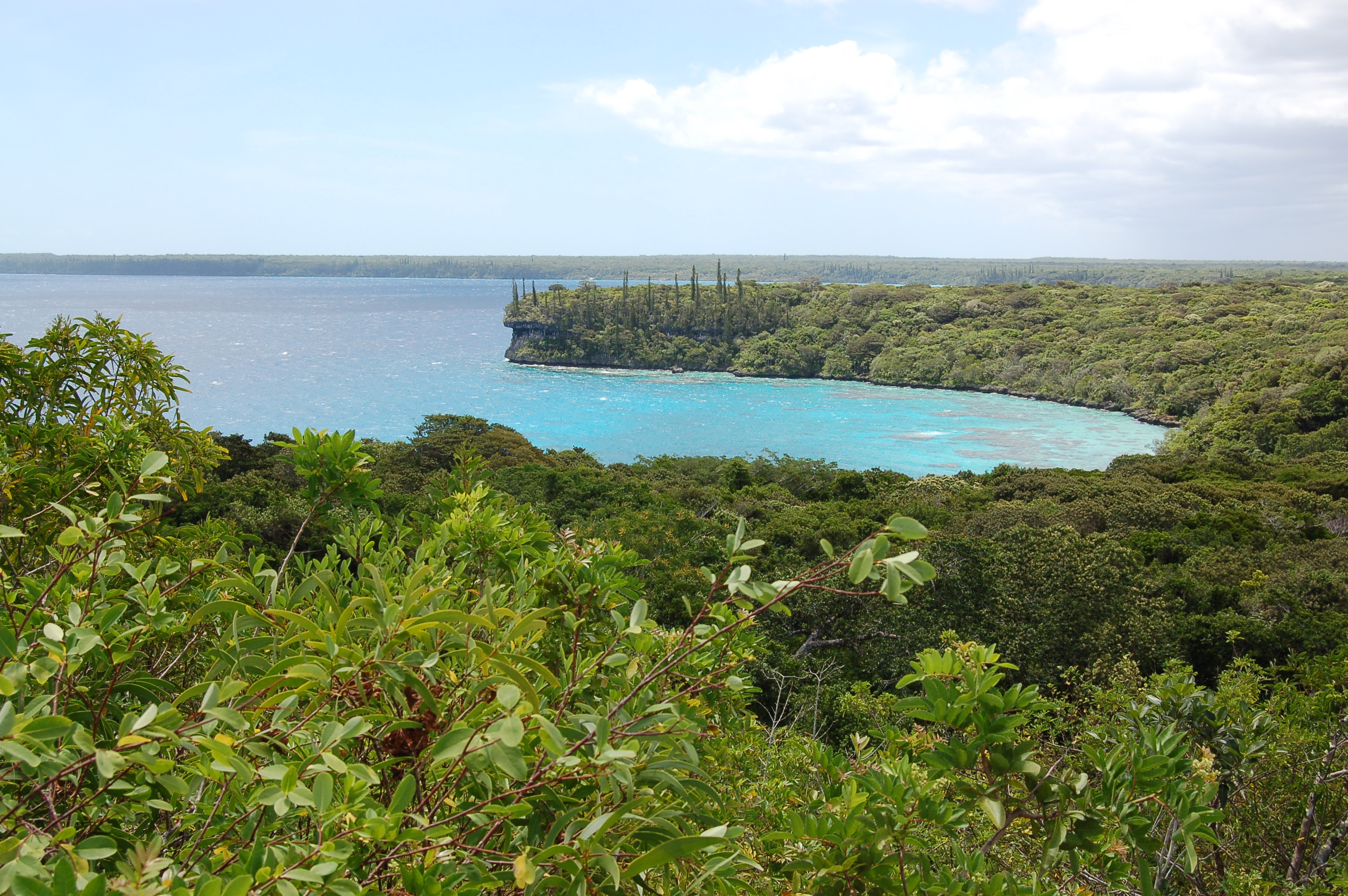 Lifou — illustration