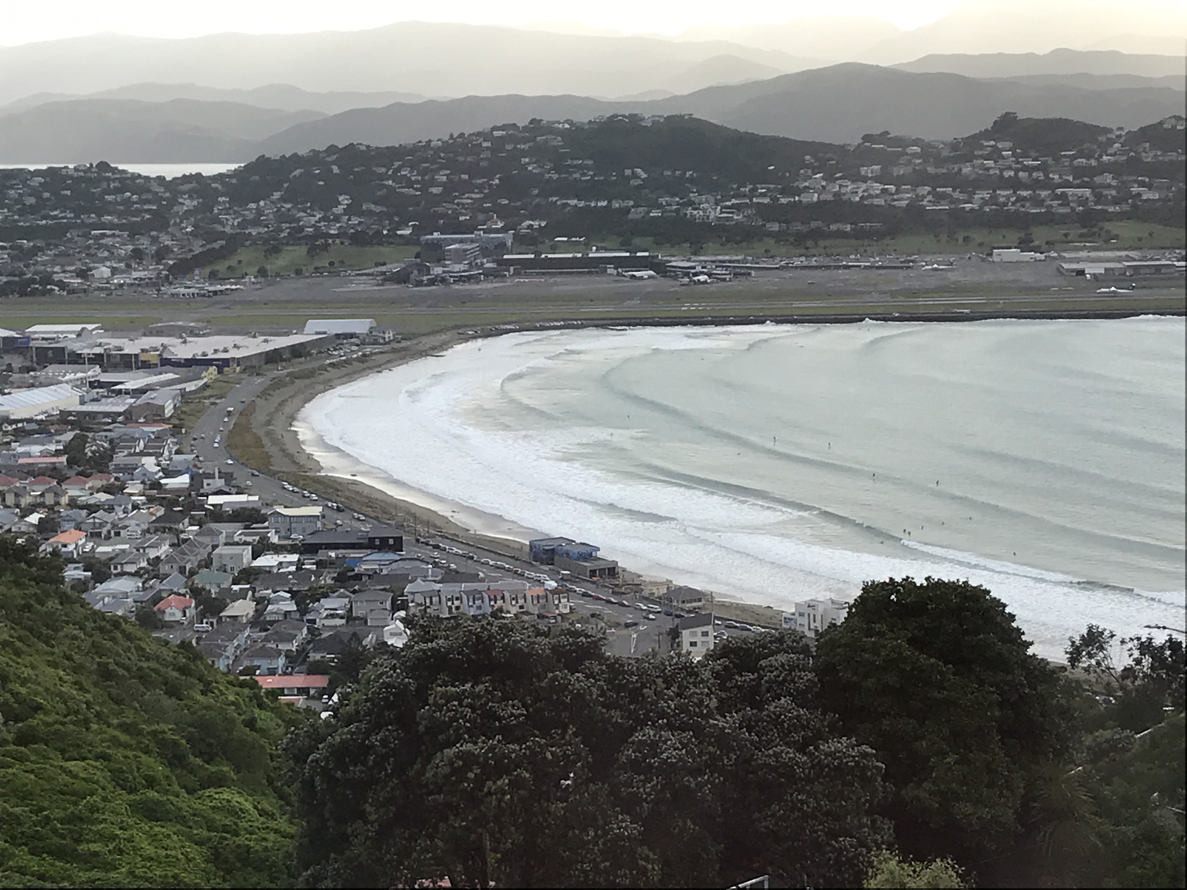 Lyall Bay — illustration