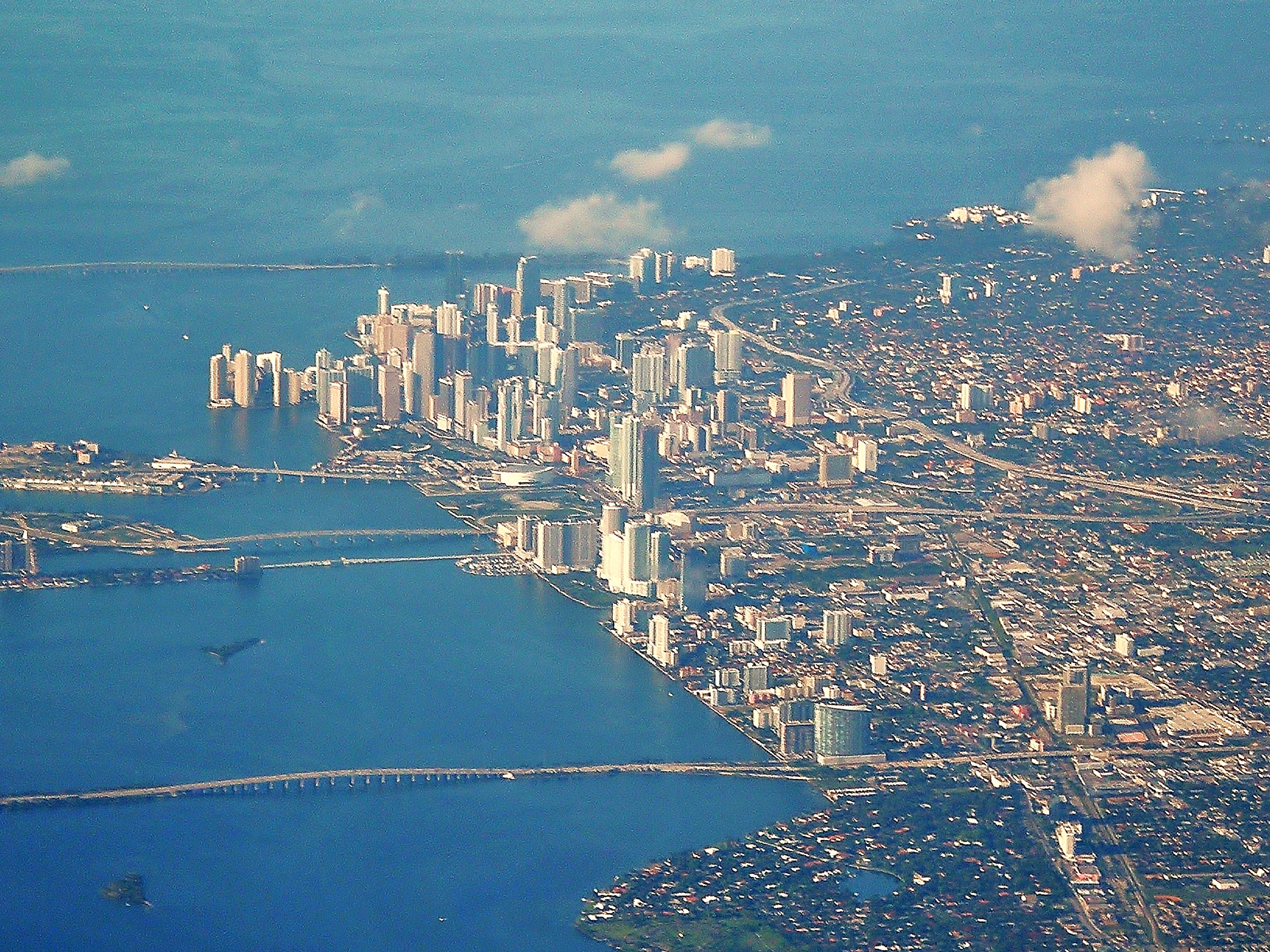 Miami — illustration