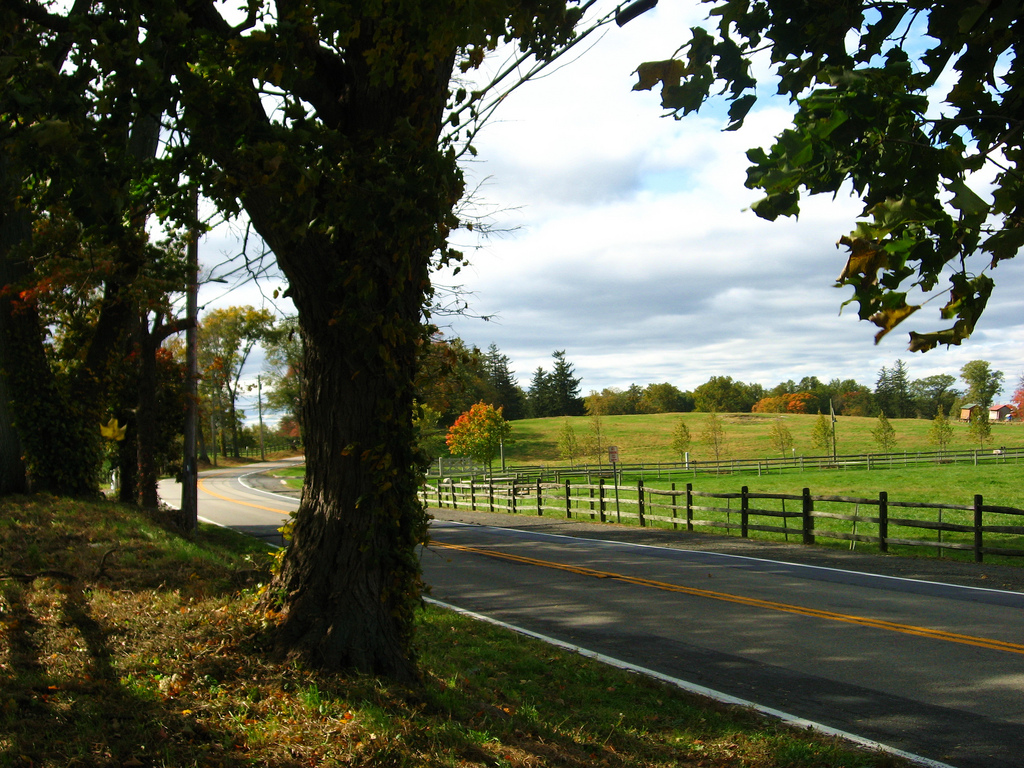 Pocantico Hills — illustration