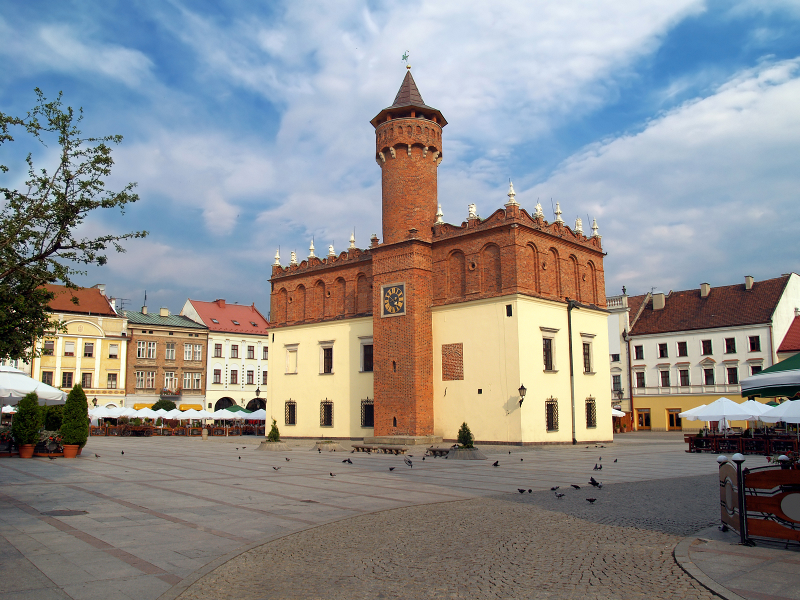 Tarnów — illustration