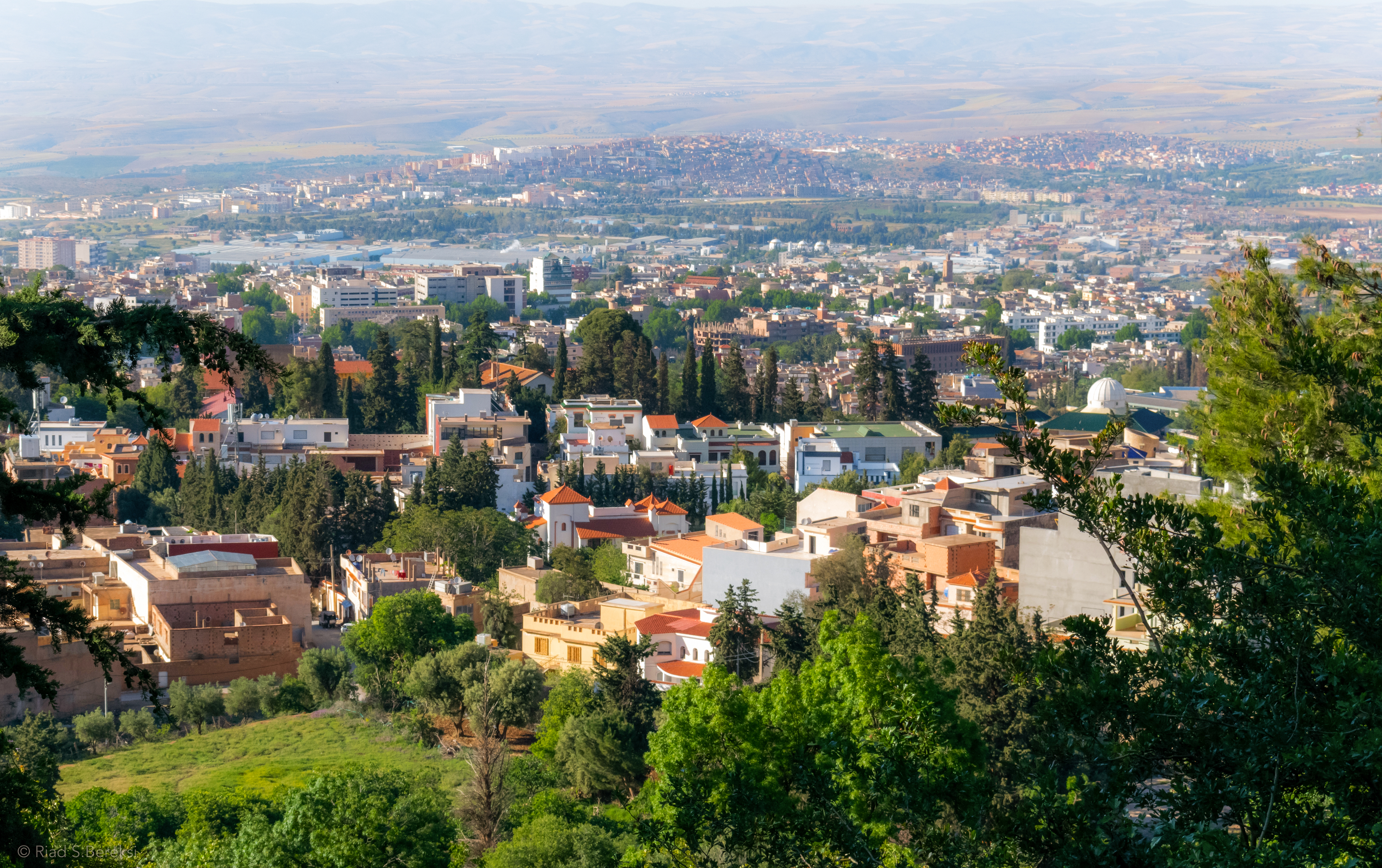 Tlemcen — illustration
