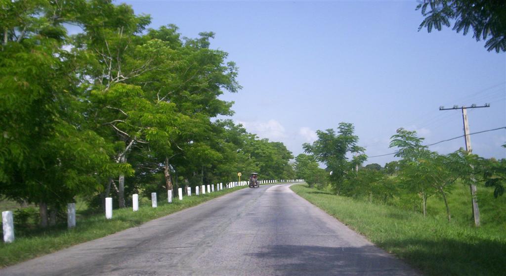 Villa Clara — illustration
